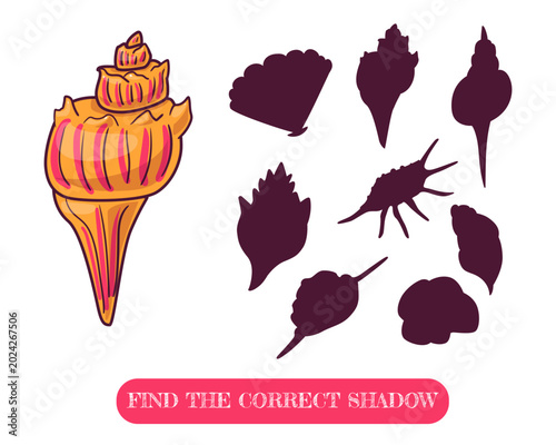 Find the correct shadow educational game with colorful seashell. Printable preschool worksheet for kindergarten children to develop logic, attention and visual perception skills