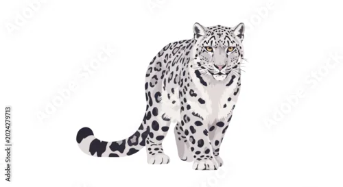 Fototapeta na wymiar Snow Leopard Portrait Illustration, Wild Cat on White Background