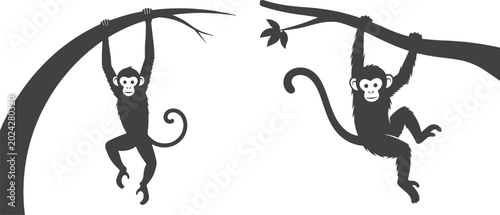 Fotografía monkey, tree, branch, leaf, animal, wildlife, primate, mammal, black, drawing, c