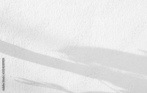 Bild auf Leinwand Background shadow white light wall floor backdrop overlay leaf mockup summer sun