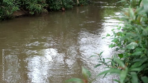 Flowing water moving steadily down a natural stream through a lush green forest landscape capturing the relaxing motion of a gentle river current in this high quality cinematic video clip
