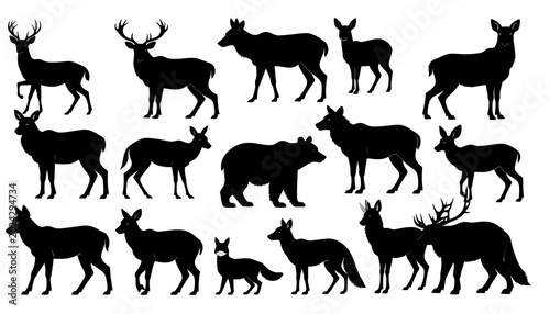 Silhouettes of various wildlife animals in black against white background