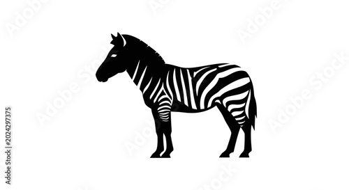 Εκτύπωση καμβά Black and white zebra standing still.