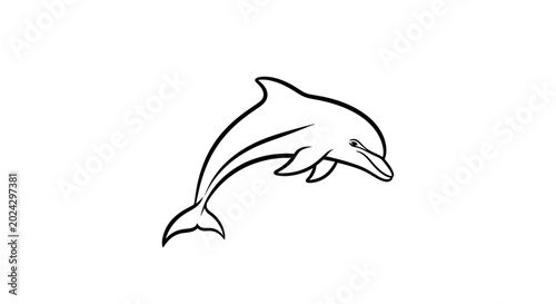 фотографія Dolphin jumping out of water freely.