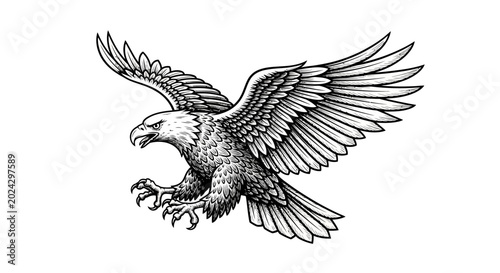 Bild auf Leinwand Eagle in Flight with Spread Wings.