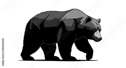 Photos Majestic Black Bear Walking Gracefully.