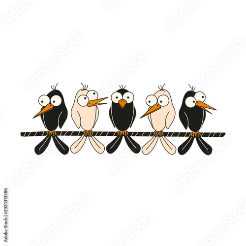 фотографія Funny Birds on the rope