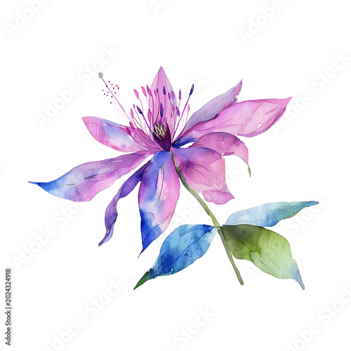 Watercolor Fuchsia Flower with Leaves on transparent background