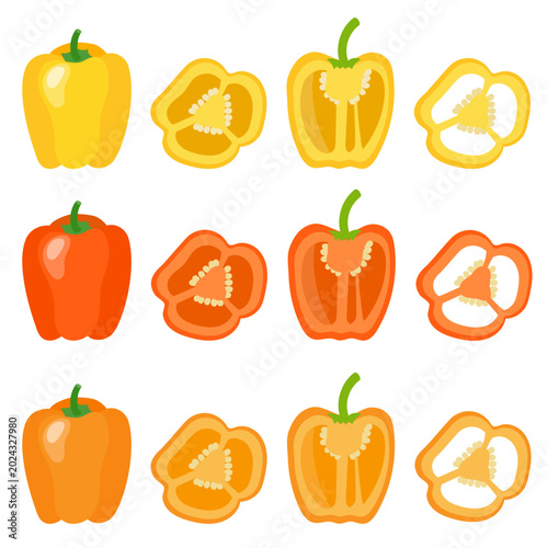 Tableau sur toile Vector illustration of a set of fresh bell peppers and their cross-sections