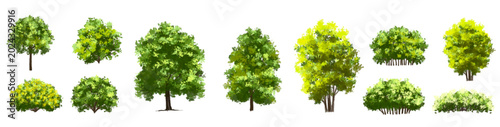  Vector watercolor tree or forest side view isolated on white background for landscape and architecture drawing,elements for environment or and garden,green tree for garden section 