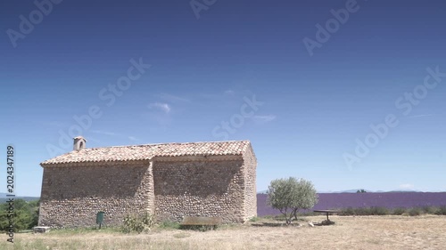 Lavender field and chapel at Entrevennes village, France