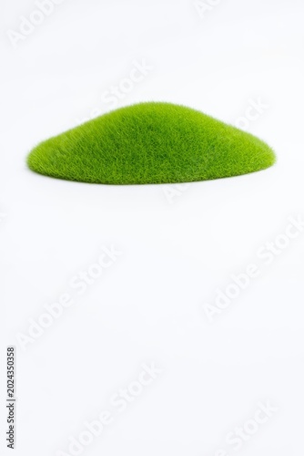 Green Mound of Grass on White Background