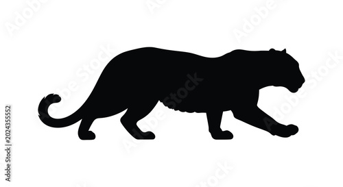 Photos Tiger silhouette on a white background silhouette