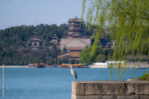 Wildlife and ancient imperial architecture at the historic Summer Palace