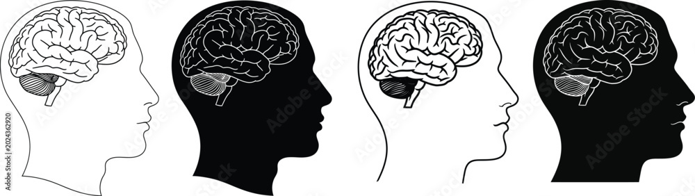 Obraz premium Four human head silhouettes with brain illustrations in black and white