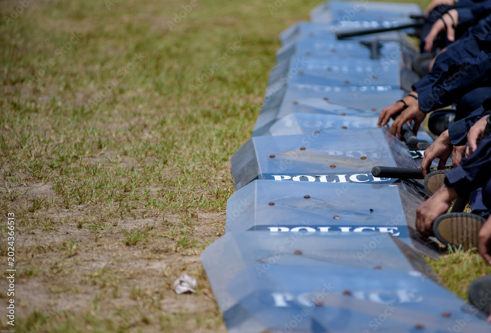 Fototapeta premium Riot police control the crowd practice and review on the grass field.