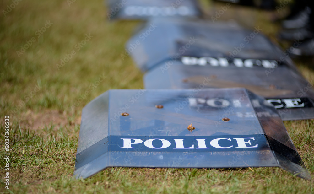 Fototapeta premium Riot police control the crowd practice and review on the grass field.