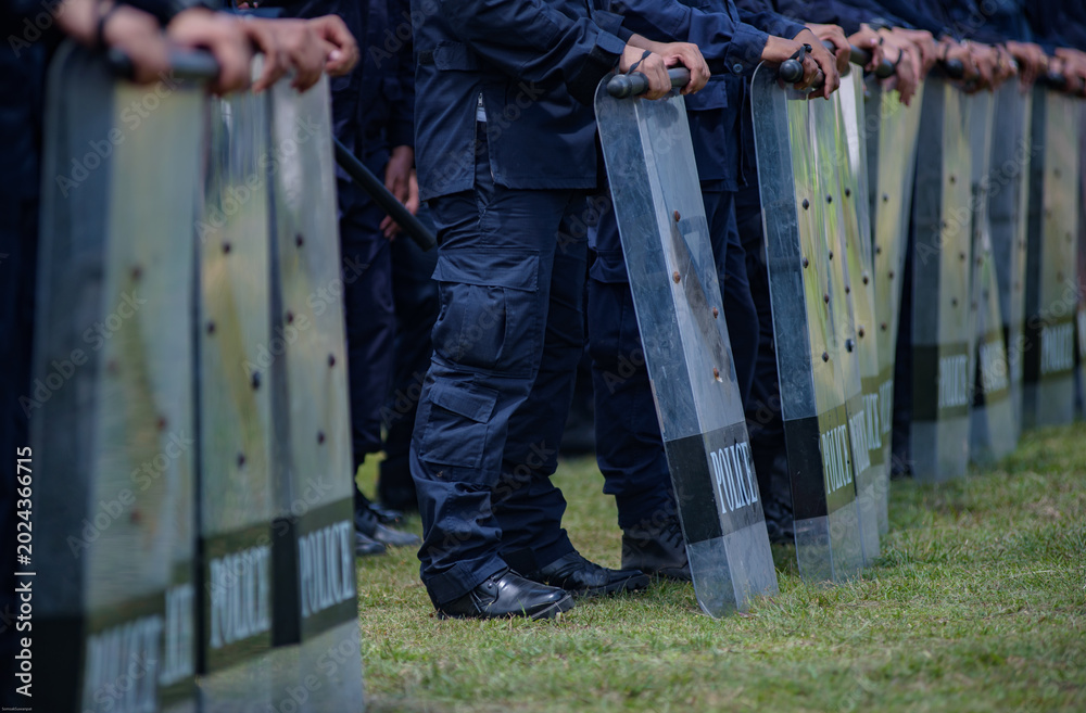 Fototapeta premium Riot police control the crowd practice and review on the grass field.