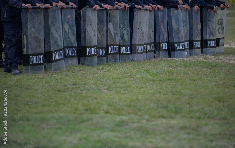 Fototapeta premium Riot police control the crowd practice and review on the grass field.
