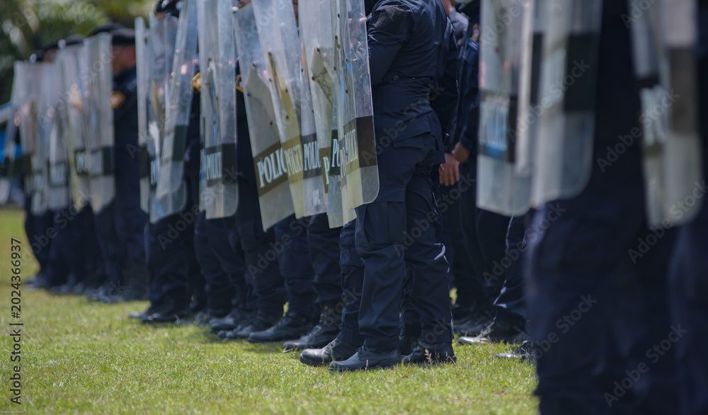 Fototapeta premium Riot police control the crowd practice and review on the grass field.