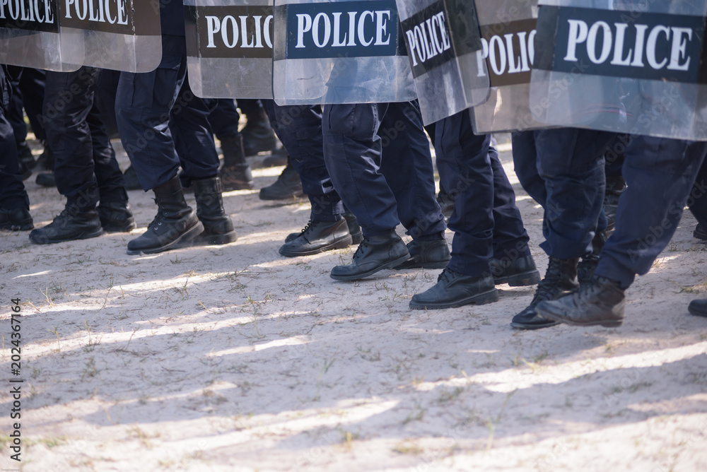 Fototapeta premium Riot police control the crowd practice and review on the grass field.