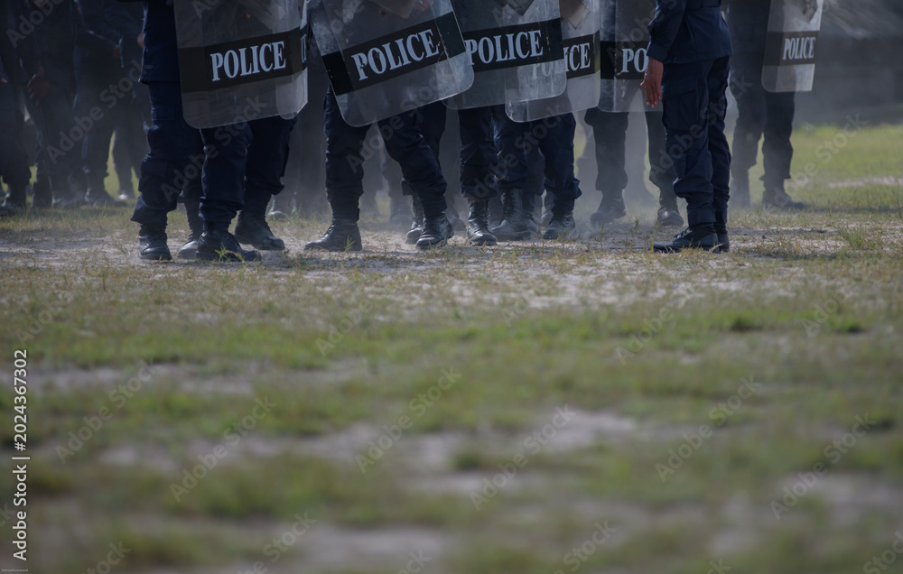 Fototapeta premium Riot police control the crowd practice and review on the grass field.