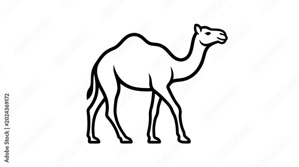Fototapeta premium Line art camel illustration