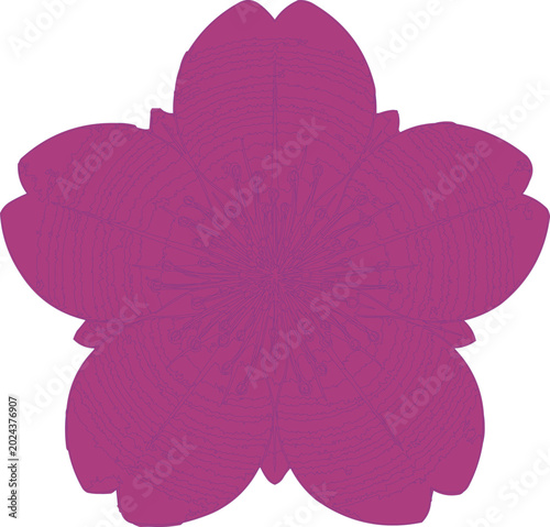 Flower silhouette in a rich purple hue displays five symmetrical petals on a clean white background.