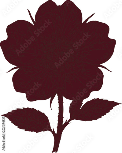 Rose silhouette with a central flower and two leaves appears in deep maroon on a white background.