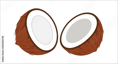 Quadro su tela Coconut halves illustration brown husk and white flesh