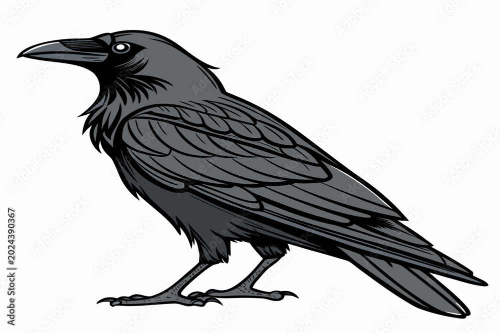 Fototapeta premium Birds Vector Design