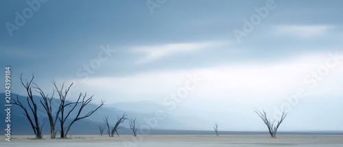 dead trees in dry lakebed environmental disaster scene