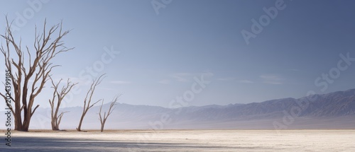 dead trees in dry lakebed environmental disaster scene
