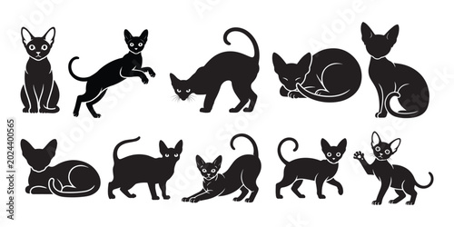 Fényképezés Devon Rex cat silhouettes collection, vector elegant black feline poses