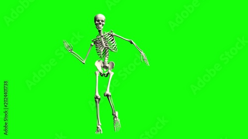 Dancing human skeleton on green screen
