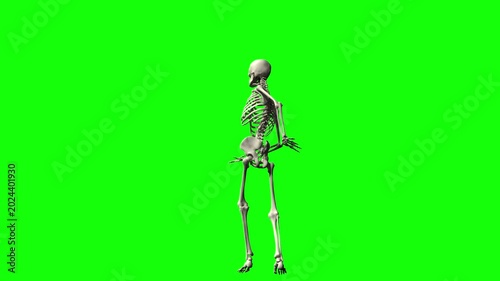 Dancing human skeleton on green screen
