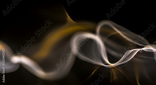 Ultra-wide angle abstract shot of overlapping translucent fungal mycelium threads.