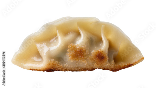 Quadro em tela Golden pan-fried gyoza dumpling with crispy bottom, isolated on transparent back
