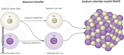 Konstfotografi Sodium Chloride Crystal Formation Diagram Design Vector Illustration