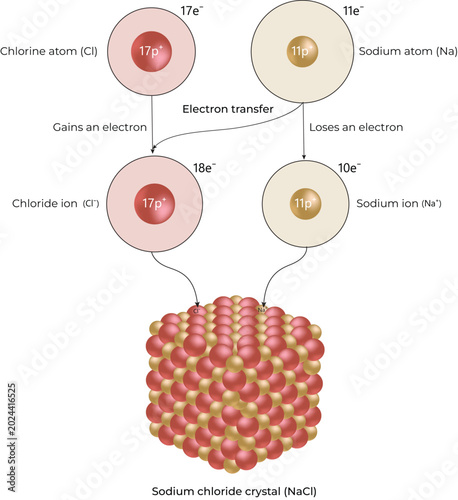 Tableau sur toile Sodium Chloride Crystal Formation Diagram Design Vector Illustration