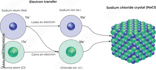 Schilderij op canvas Electron Transfer in Sodium Chloride Formation Design Vector Illustration