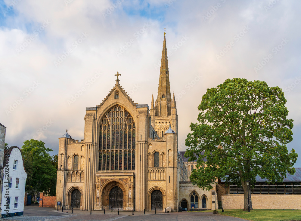 Obraz premium Evening light on Norwich Cathedral