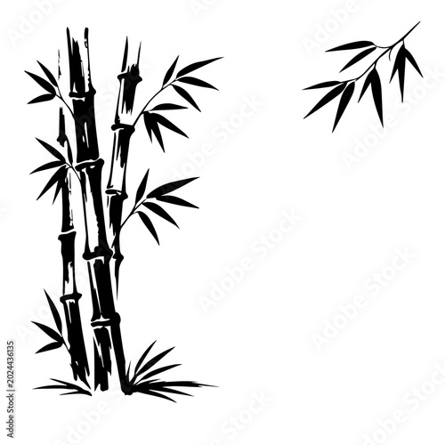 Japanese bamboo stalks and leaves, sumi-e inspired line
