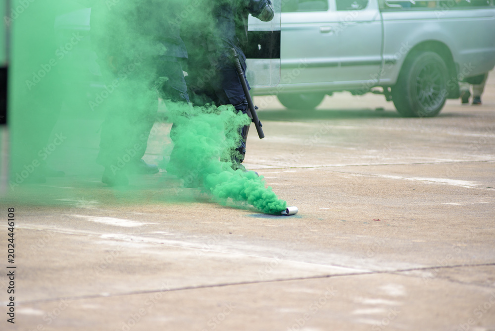 Fototapeta premium Riot police clashed with the protesters using smoke bombs