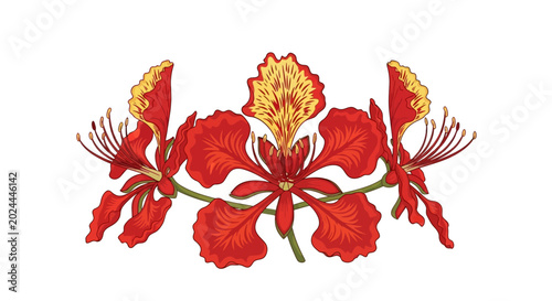 Foto Close-up of a red flamboyant flower with yellow accents.