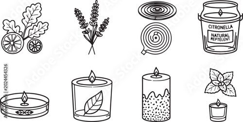 Foto Vector icons set natural mosquito repellent and plants Vector