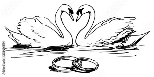 Tableau sur toile Swans forming heart shape with wedding rings on water surface sketch style