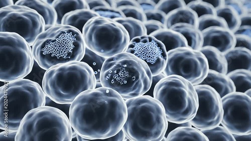 Pancreatic beta cells gradually losing function and reducing insulin production