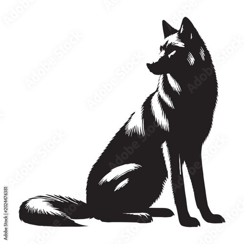 Fotografia Gray Wolf Wild Predator Forest Hunter Powerful Canine Arctic Timber Wolf Nature Wildlife Animal Pack Leader Fierce Mammal Mountain Wolf Running Howling Adventure Wilderness Northern
