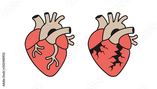 Conceptual illustration showing a healthy human heart and a heart with prominent cracks, symbolizing cardiovascular damage.